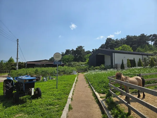 Farmers Room Ranch, photo 5