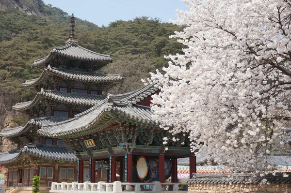 법주사 사진 2