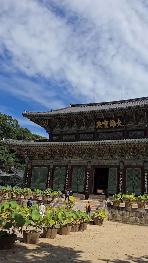 법주사 사진 5