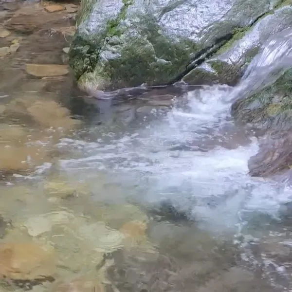 National Yumyeongsan Natural Recreation Forest, photo 2
