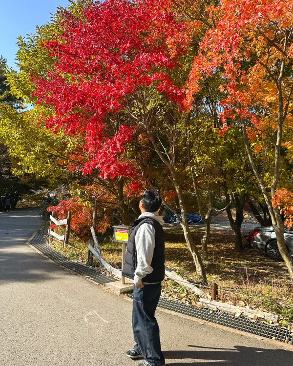 속리산국립공원 사진 2