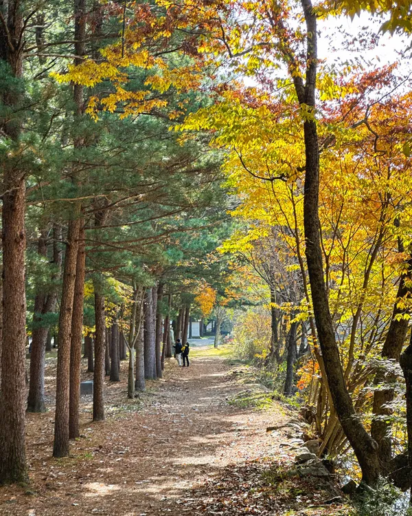 속리산국립공원 사진 3
