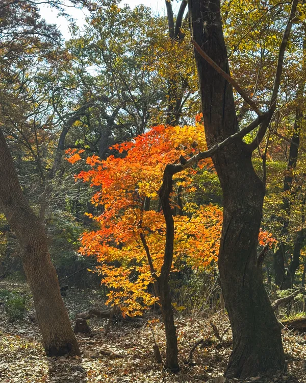 속리산국립공원 사진 4
