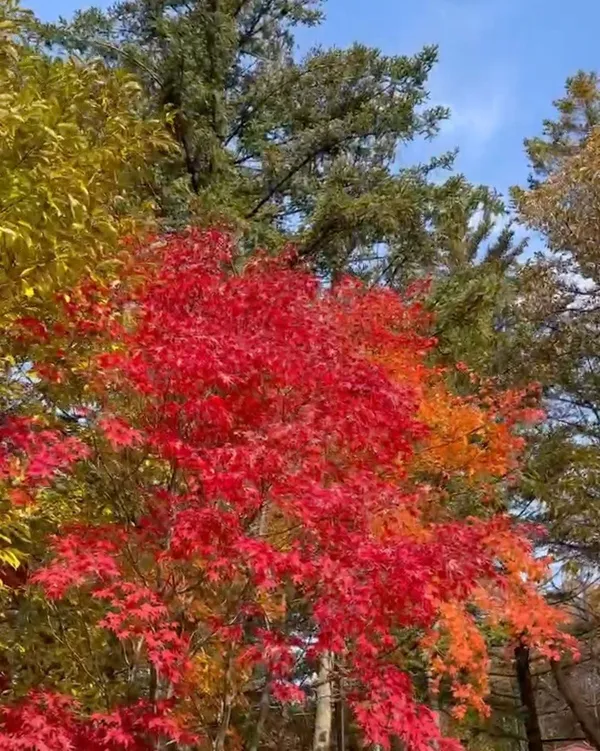 속리산국립공원 사진 5
