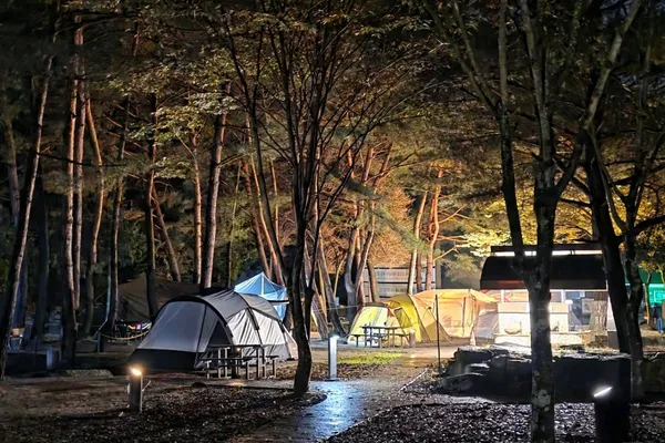 월악산국립공원 사진 5