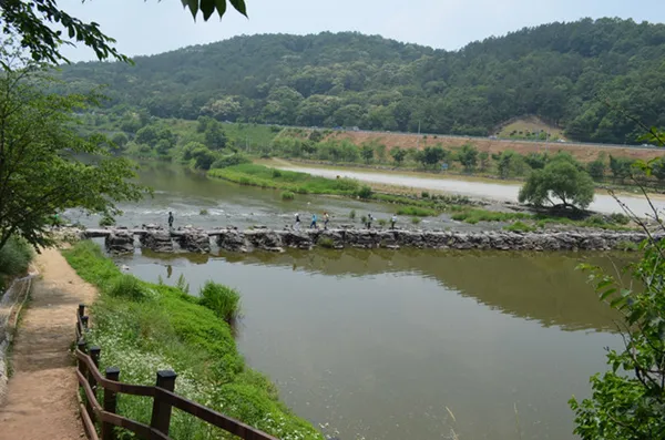 진천농다리 사진 3