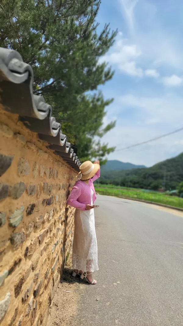 홍도 사진 5