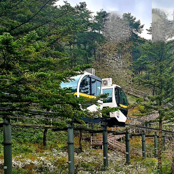 속리산테마파크 모노레일 사진 2