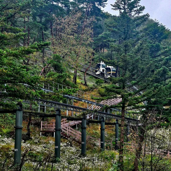속리산테마파크 모노레일 사진 3