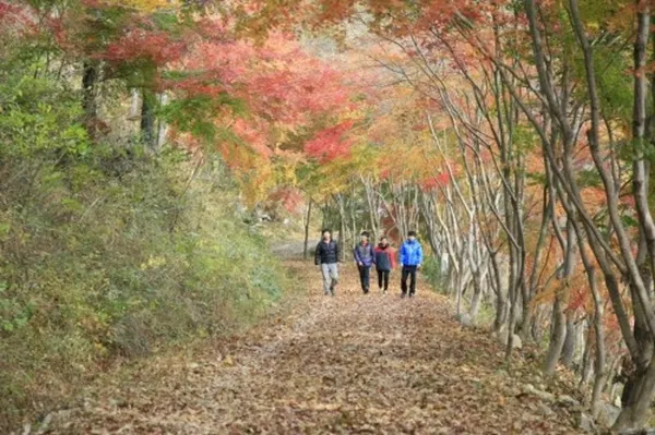 제암산자연휴양림 사진 2