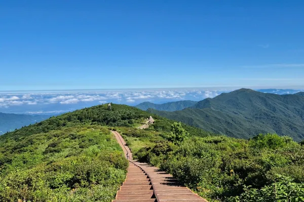 지리산