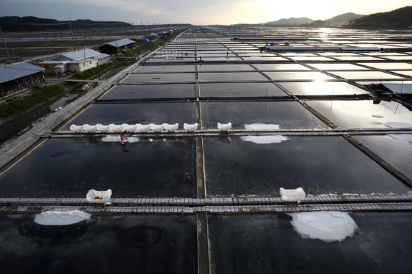 Taepyeong Salt Farm, photo 2