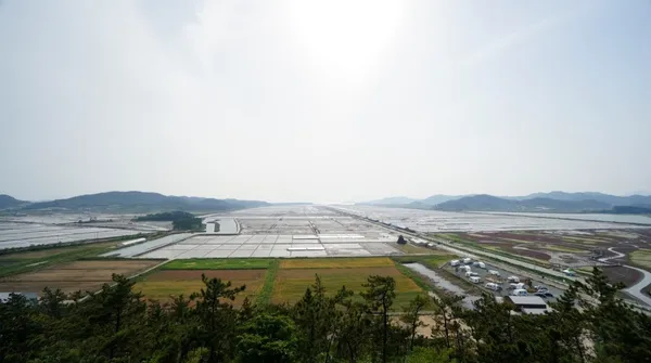 Taepyeong Salt Farm, photo 3