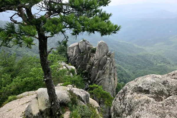 용화산 사진 3