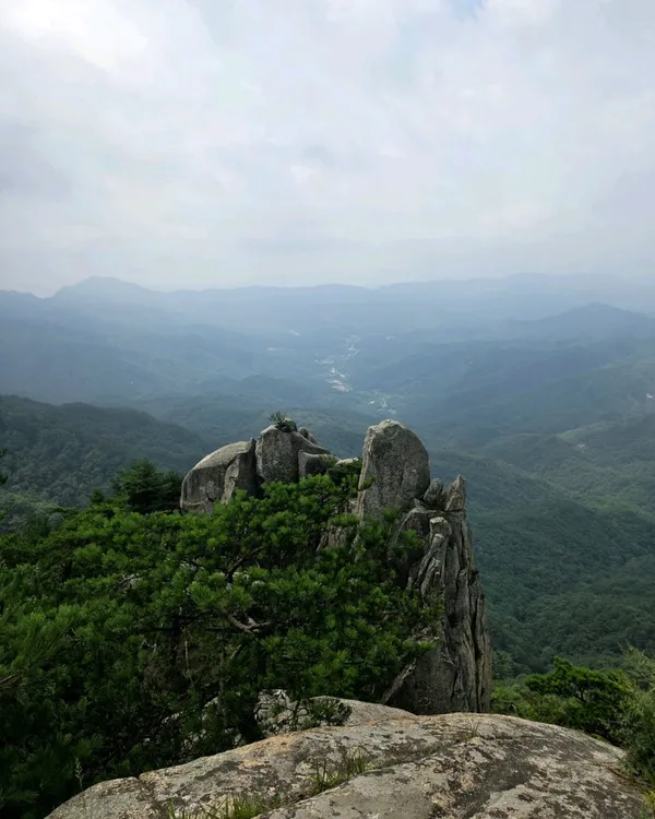 용화산 사진 4