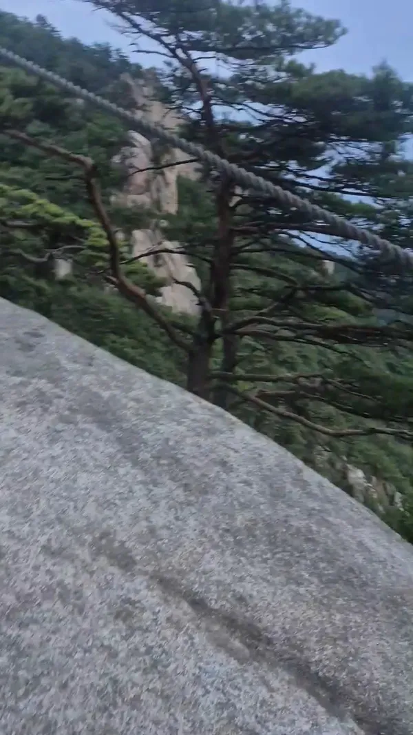 용화산 사진 5