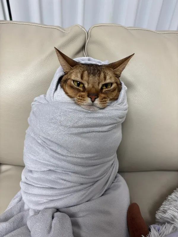 성원 사진 3