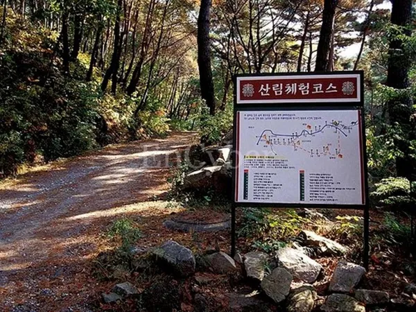 조령산 자연휴양림 사진 3