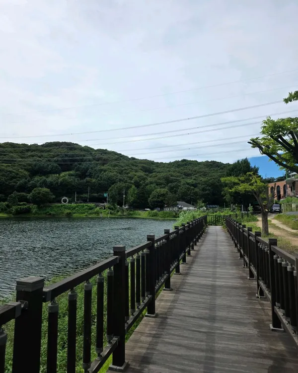 Gisan Reservoir, photo 4