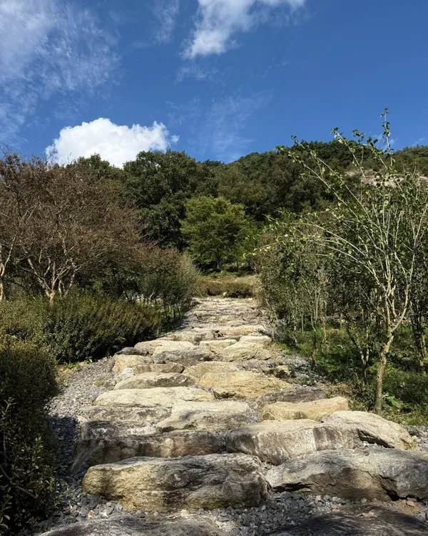 용궐산