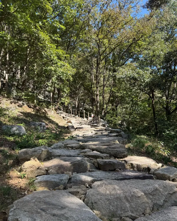 용궐산 사진 4
