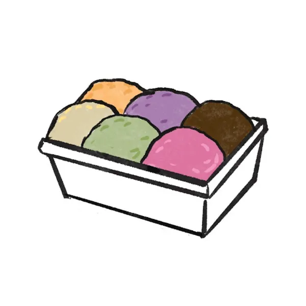 아로카 사진 5
