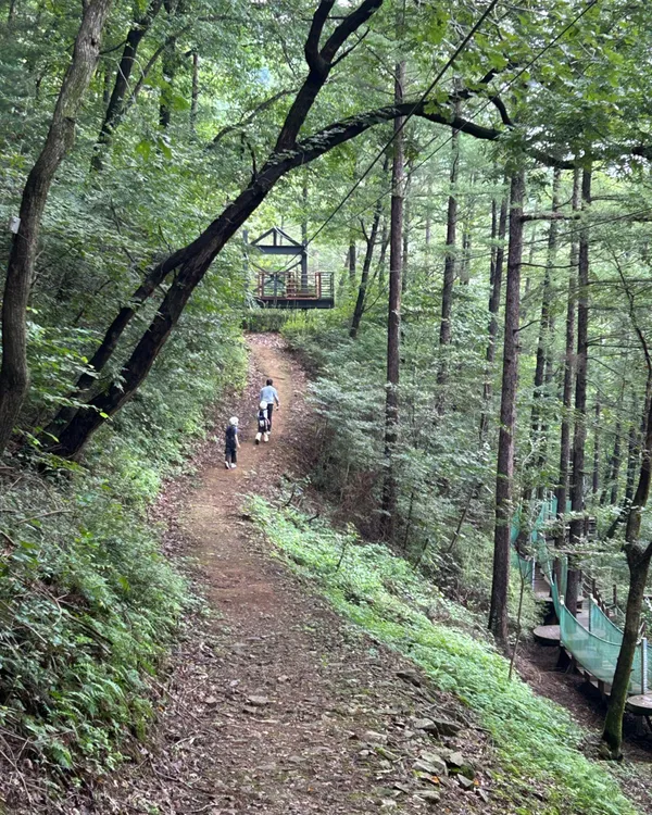 Jwagusan Natural Recreation Forest, photo 4