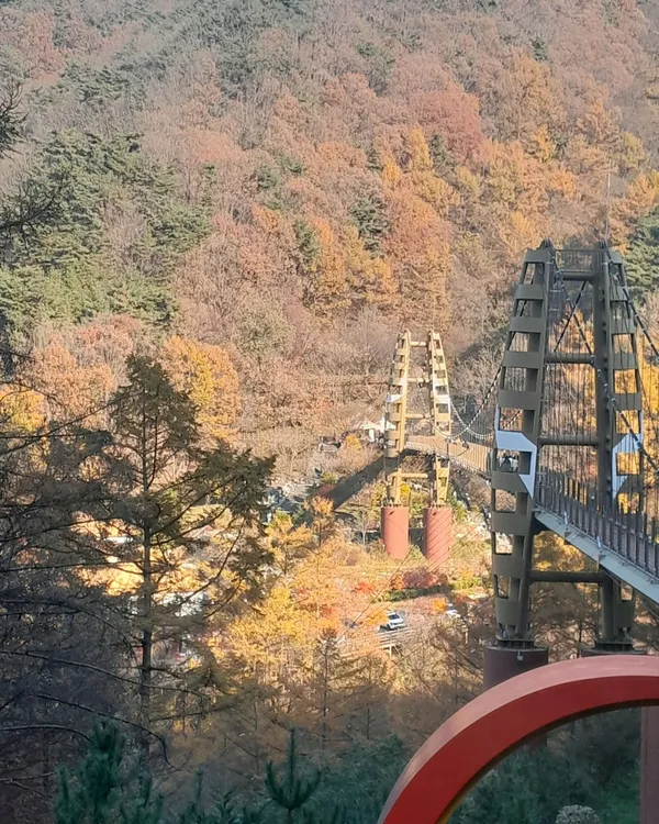 좌구산자연휴양림