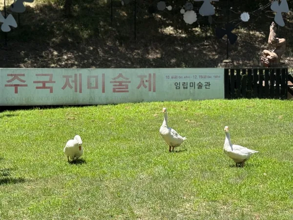 임립미술관 사진 4