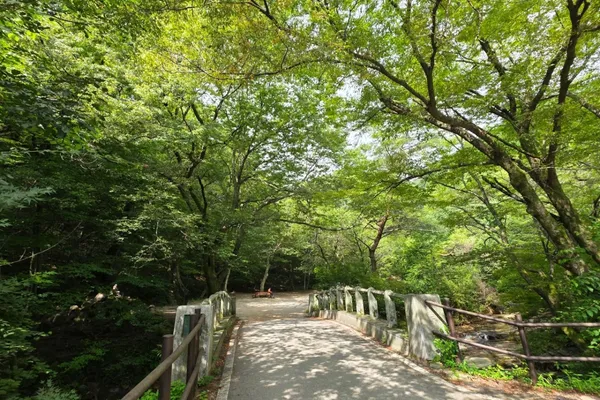 계룡산국립공원