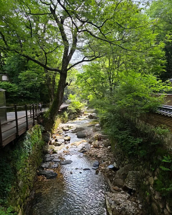 계룡산국립공원 사진 3