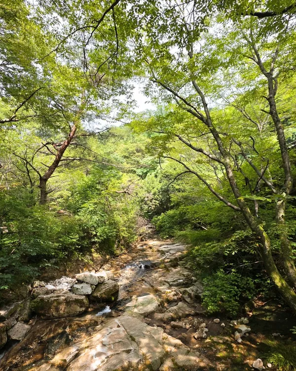 계룡산국립공원 사진 4
