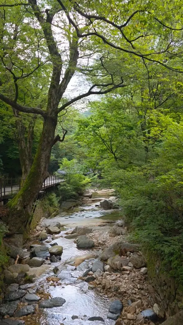 계룡산국립공원 사진 5