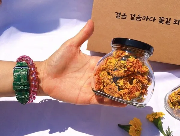 뜨레팜, photo 2