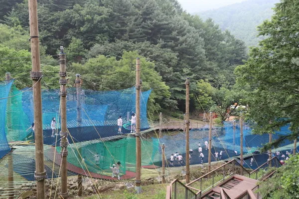 놀자숲 사진 2
