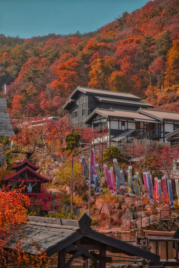 니지모리스튜디오