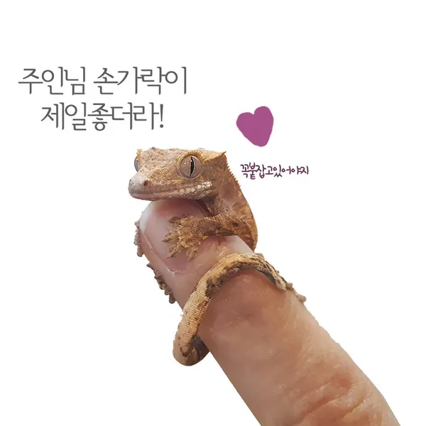 센트럴곤충생태농장 사진 3