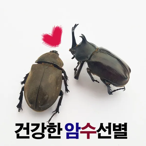 센트럴곤충생태농장 사진 5