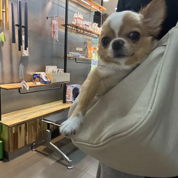 이솝동물메디컬 사진 3