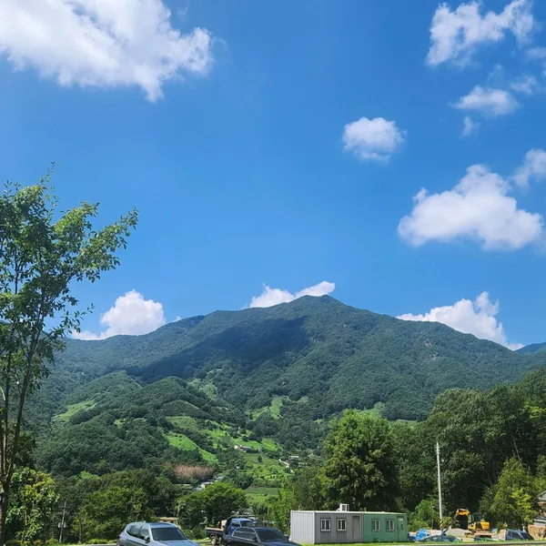 동백식당 사진 3