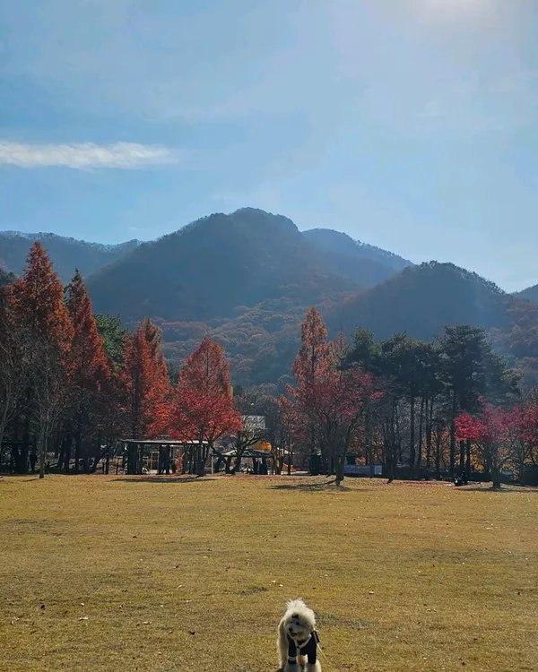 Byeongmokan Citizen Park, photo 3