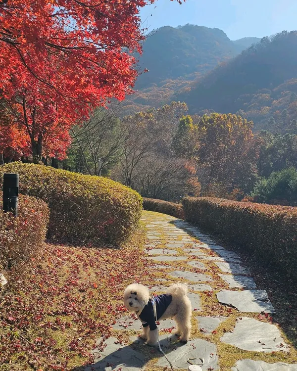 Byeongmokan Citizen Park, photo 2