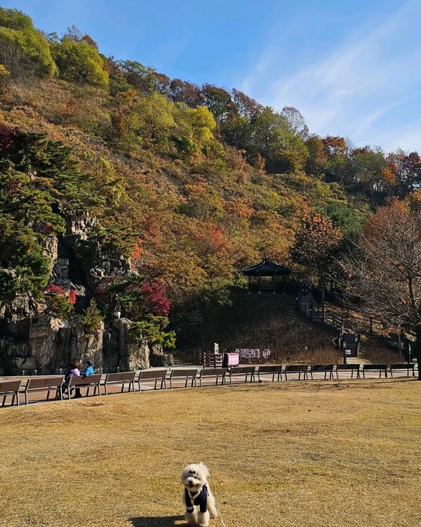 Byeongmokan Citizen Park, photo 4