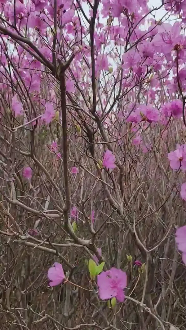 무학산 사진 4