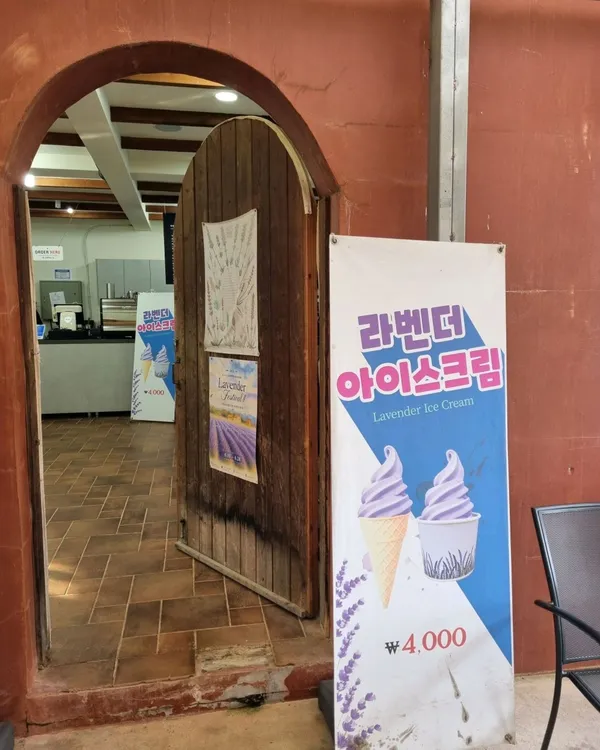 하늬라벤더팜 사진 5