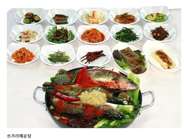 박쏘가리 사진 3