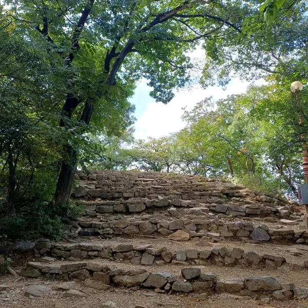 달성공원 사진 3