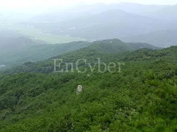 덕숭산 사진 2
