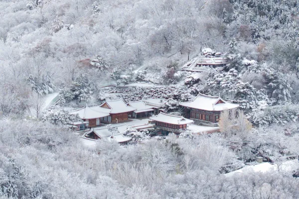 Dalmasa Temple, photo 2