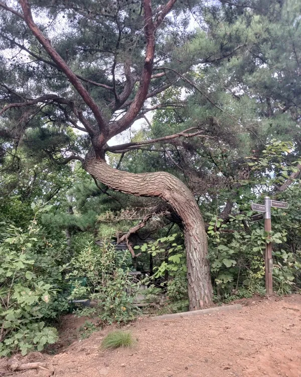 국립아세안자연휴양림 사진 3